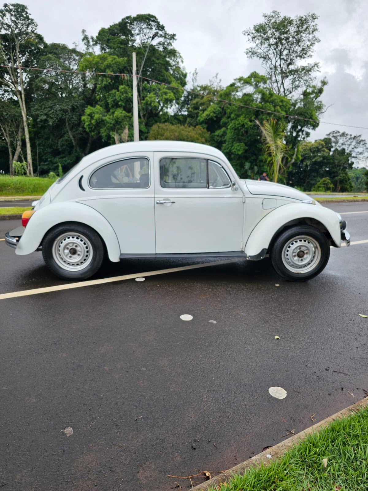 vW - FUSCA